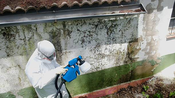 Mold Removal service in Southlake